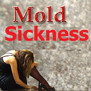 Mold Sickness - What has Really Happened to you?
